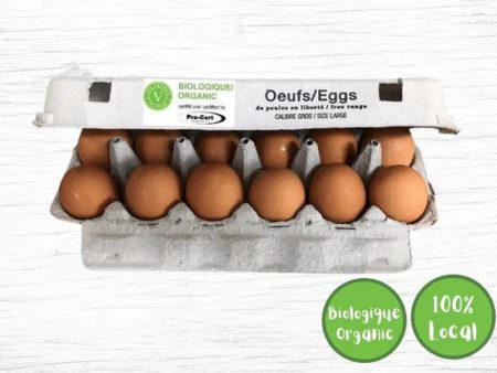 6 Organic Free-Range Large Brown Eggs, Les Fermes Valens on Sale