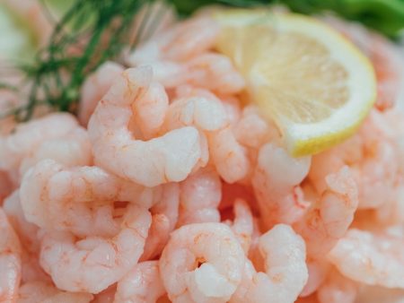 Fresh Peeled Wild Matane Shrimp from Quebec 2.5 pounds Hot on Sale