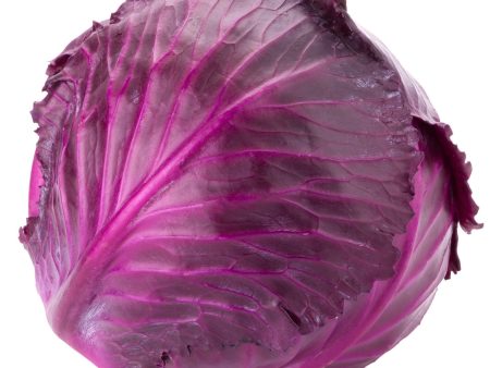 Cabbage - Organic Purple, 1 For Discount