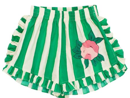 Flowers Stripes Shorts For Sale