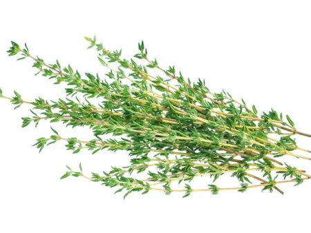 Thyme - Organic, 1 Hot on Sale