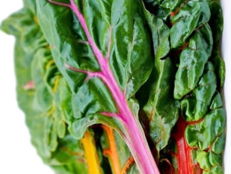 Swiss Chard Supply