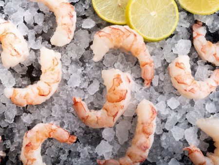 Wild Argentinian Shrimp Frozen by Oysterblood 908g Hot on Sale