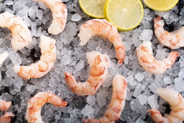 Wild Argentinian Shrimp Frozen by Oysterblood 908g Hot on Sale