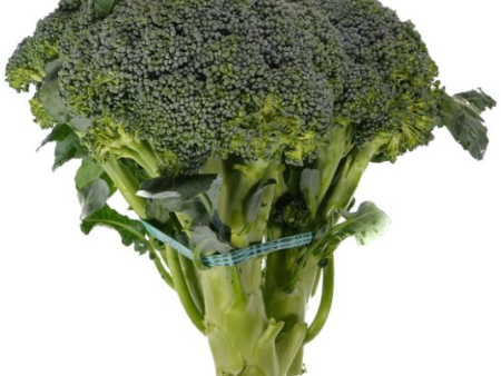 Broccoli - Organic, 1 on Sale