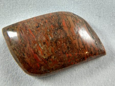 Dinosaur Bone Cabochon Sale