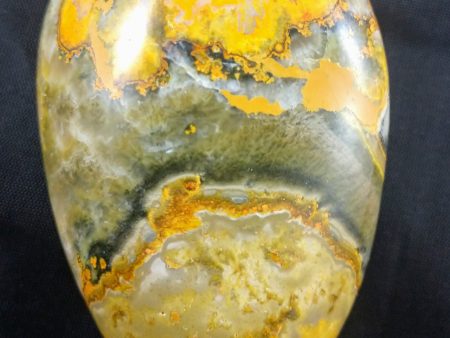 Bumblebee Jasper Free From Online now