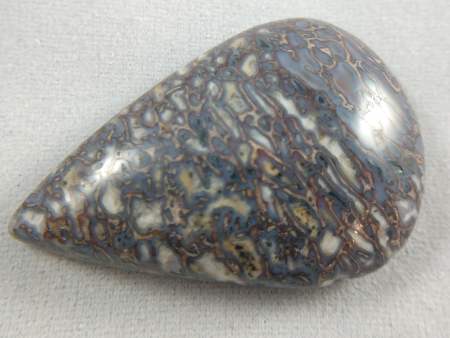 Dinosaur Bone Cabochon Online