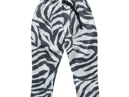 Zebra Pants Online Hot Sale