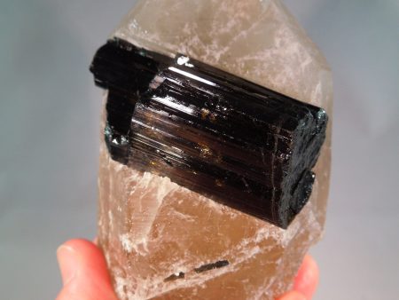 Smoky Citrine w  Tourmaline, 1.28 lbs. Sale