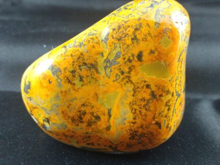 Bumblebee Jasper Free From Discount