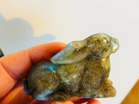 Labradorite Carved Rabbit Online now