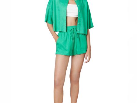 James Shorts - Kelly Green Online Hot Sale